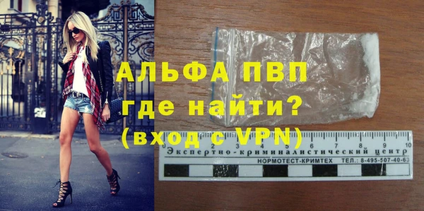 сатива Баксан