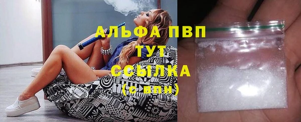 сатива Баксан