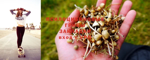 spice Балахна